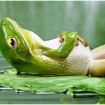 Вопрос номер 1