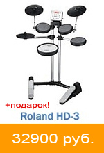 Купить Roland HD-3